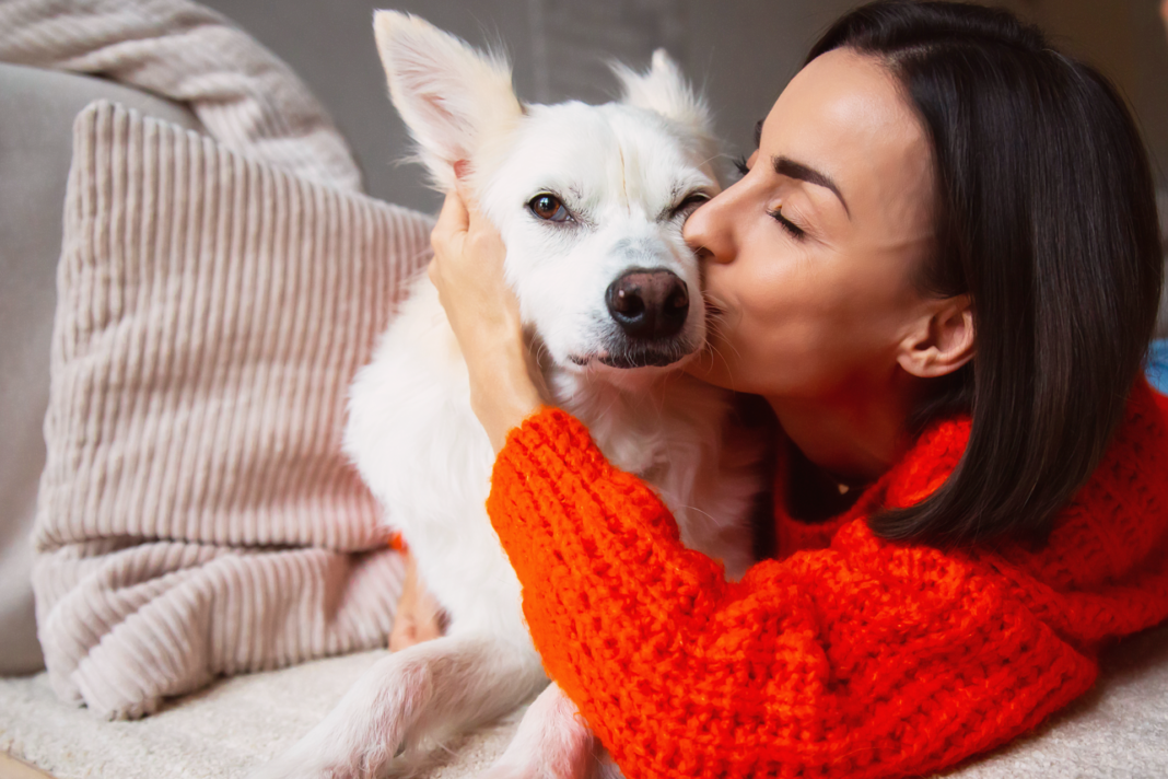 犬,愛犬,愛犬家