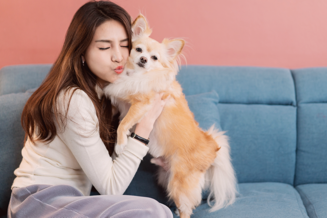 犬まとめ.com,犬との暮らし